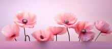 Pink Poppy Flowers Isolated On A Isolated Pastel Background Copy Space Deep Focus Macro Symbolic Of Sleep Oblivion And Imagination