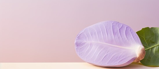 Poster - Taro on a isolated pastel background Copy space