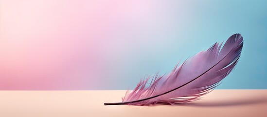 Aufkleber - copy space image on isolated background with a feather of a bird