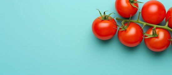 Poster - copy space image on isolated background cutout of a fresh cherry tomato