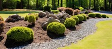 Spring Park With A Green Lawn And A Colorful Rock Path Devoid Of People Features A Landscaped Garden Bed Adorned With Wave Shaped Ornamental Cypress Bushes Gravel Mulch And Meadow