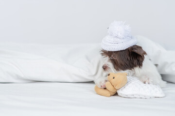 Poster - Cute Biewer Yorkshire terrier puppy wearing warm hat hugs toy bear under warm blanket on the bed at home and looks away on empty space