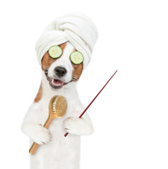 Poster - jack russell terrier puppy with towel on it head holds  bath brush and points away on empty space. isolated on white background