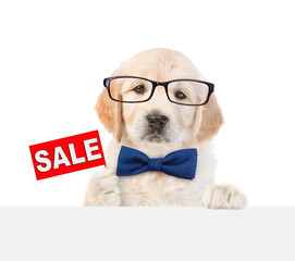 Poster - Smart Golden retriver puppy wearing eyeglasses and tie bow shows signboard with labeled 