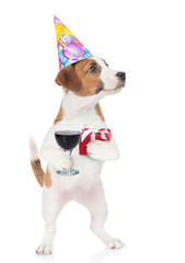 Poster - Cute Jack russell terrier puppy wearing party cap holds glass of red wine and gift box. isolated on white background