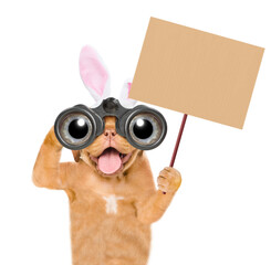 Poster - Happy puppy wearing easter rabbits ears looks through binoculars and shows empty placard. Isolated on white background
