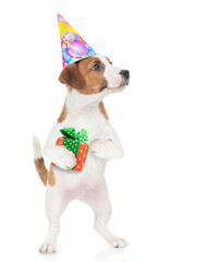 Poster - Jack russell terrier puppy wearing a party hat holds gift box and looks away on empty space. isolated on white background