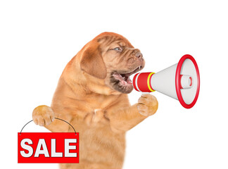 Poster - Mastiff puppy screaming into a megaphone and and shows signboard with labeled 
