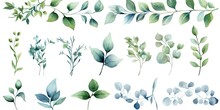 Watercolor Botanical Illustrations. Summer Palette. Greenery And Floral Delights On White Background Isolated. Rustic Elegance. Hand Drawn Collection. Eucalyptus Dreams. Nature Green Beauty