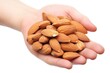 a handful of almonds on a white background