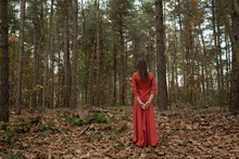 Rear View Portrait Of Woman In Red Dress In Autumn Forest 