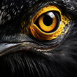 close up of a birds eye, makro shot