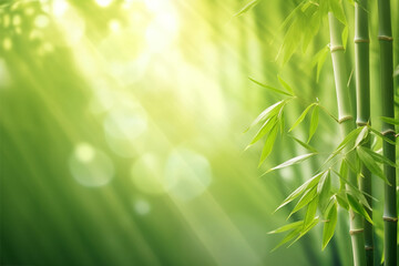  Green bamboo trees against blue sunrays