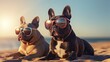 french bull dogs wearing sunglasses while sitting on the beach