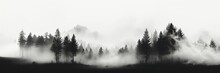 In This Wide-format Background Image, A Dense Mist Shrouding The Forest, Creating A Black And White Atmospheric Scene Against A White Background. Photorealistic Illustration