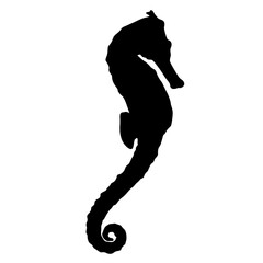 seahorse silhouette
