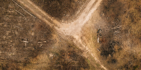 Wall Mural - Forest Deforestation Area Landscape. Concept Of Save Nature. Uncontrolled Deforestation Concept. Autumn Season. Aerial View Of Crossroads At Deforestation Area.Forest Clearance.