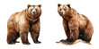 Bear clipart,Stunning Bear Illustrations - Cut Out PNG Clipart and Artistic Designs. Versatile Use with Transparent or White Backgrounds. Illustrations.
