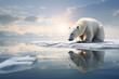 Polar bear on melting ice to show the effects of climate chang
