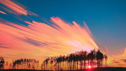 Wall Mural - Amazing Effects Of Smeared Clouds. Long Exposure Timelapse Fasters Clouds Above Pine Forest. 4k Timelapse Of Moving Clouds Trails In Morning Sky. Abstract Colors. Morning Sunrise. Sunlight Shining