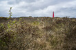 panorama panorama view on red lighthouse of dutch island schiermonnikoog