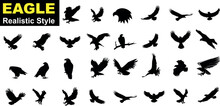 Eagle Vector Illustration Set, Black And White Silhouettes. Collection Of 30 Different Eagle Poses, Perfect For Logos, Designs, And More.