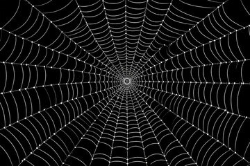 spider web halloween isolated on white