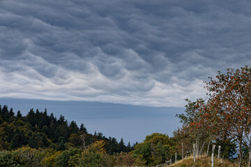 Wall Mural - Ciel nuageux sur les Vosges