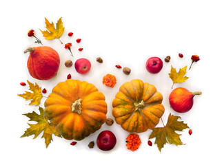 Wall Mural - pumpkin, acorns, red berries, apples and autumnal colorful maple leaves on a white background with s