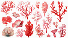 Watercolor Red Coral Collection On White Background