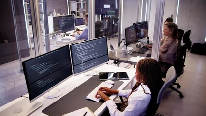 Software Programmer Or Coder Woman