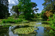 Beautiful pond in Cambridge University Botanic Garden. Cambridge, England