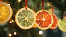 On Individual Citrus Slice Ornaments Hanging From A Christmas Tree. The Translucency Of The Dried Fruit Slices As They Catch The Holiday Lights.