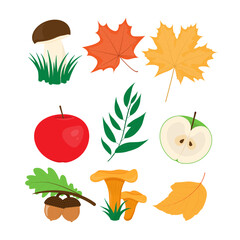 Wall Mural - Autumn set of design elements. Harvest apples, mushrooms and leaves.