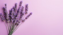 Minimalist Arrangement Of Lavender Flower On A Muted Purple Backdrop. 