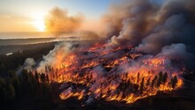 Forest Fire. Burning Dry Grass And Trees In The Field. Aerial View