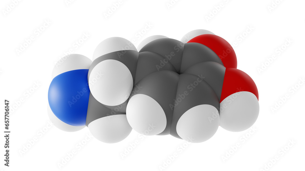 dopamine molecule, neuromodulatory molecule molecular structure, isolated 3d model van der Waals