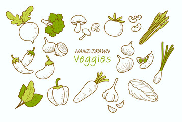 Veggies hand drawn collection, vegetables set.