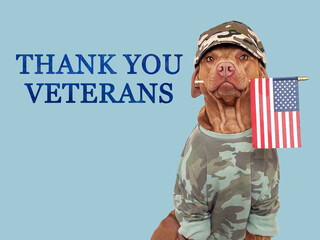 Thank You Veterans. Lovable brown dog, American Flag and congratulatory inscription. Closeup, indoors. Studio shot. Congratulations for family, relatives, loved ones, friends and colleagues