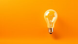 Light bulb on orange background.  Ultra-high quality

