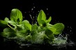 A high-speed video capturing the bursting of vibrant mint leaves against a black background. Generative AI
