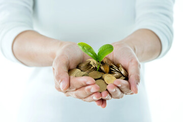 Wall Mural - Businesswoman holding little tree  growing from pile of coins