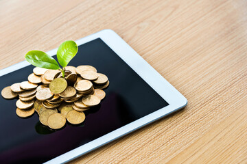 Wall Mural - New plant growing on stack of coins