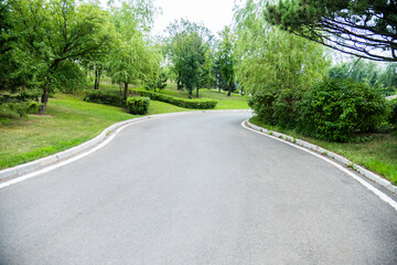 Canvas Print - The way in the park with trees