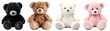 Set of fur plush stuffed teddy bear, black, white, brown, pink on transparent background cutout, PNG file. Many assorted different design. Mockup template for artwork graphic design
