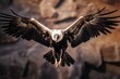 White backed vulture flying