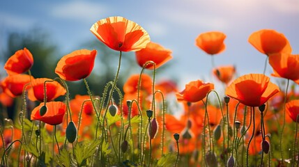 Sticker -  a field of orange flowers with a blue sky in the background.  generative ai