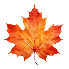 autumn maple leaf. autumn leaf on a light transparent background. png file. generative ai