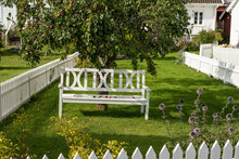 Whiyte Park Bench Under An Apple Tree In A Garden.