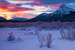 Winter Sunrise in Banff National Park, Alberta